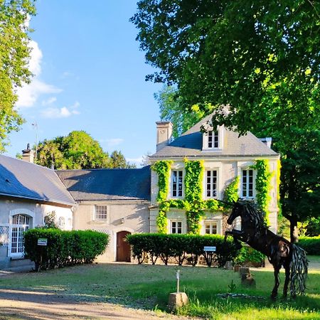 Chambres D'Hotes Du Domaine De L'Isle Civray-de-Touraine Kültér fotó